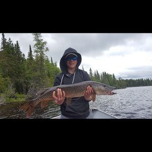 Meet your Posher, Ben